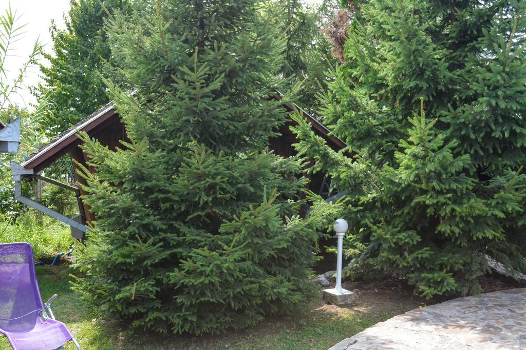 Camping Robinson Country Club Oradea Eksteriør billede